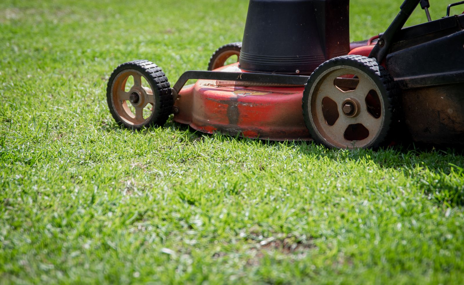 A red push mower cutting a green lawn